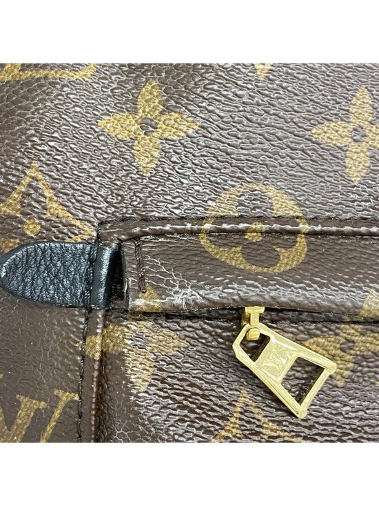 Louis Vuitton Backpack Monogram Palm Springs Brown Cles main image 8